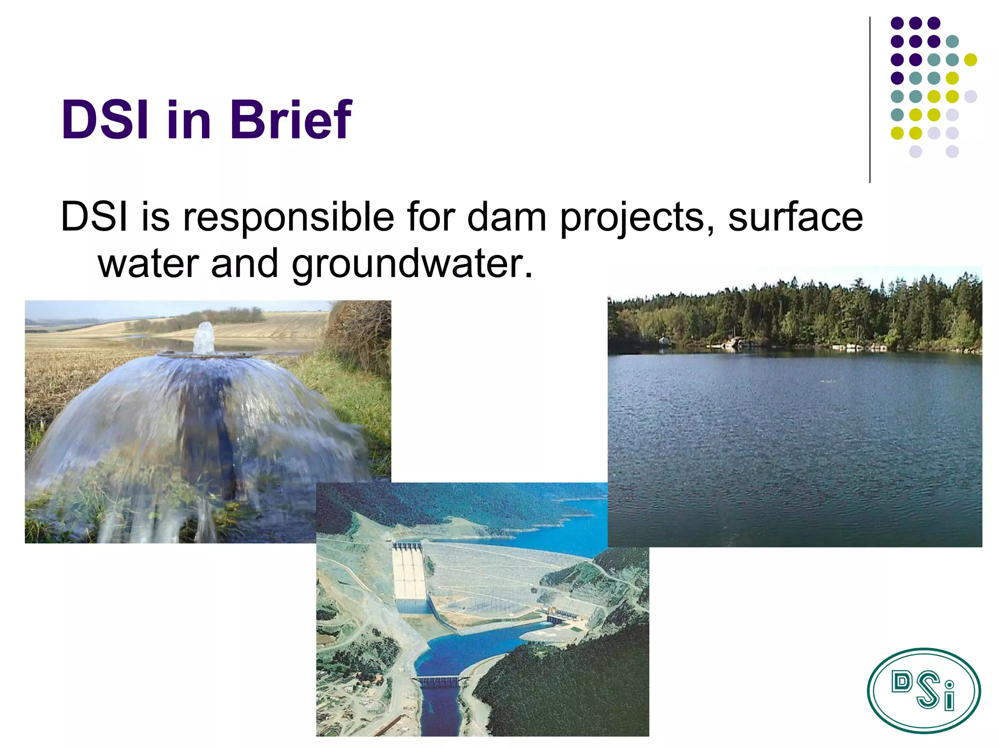 DSI in Brief DSI is responsible for dam projects, surface water and groundwater. 