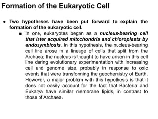 Formation of the Eukaryotic Cell
● Two hypotheses have been put forward to explain the
formation of the eukaryotic cell.
■ In one, eukaryotes began as a nucleus-bearing cell
that later acquired mitochondria and chloroplasts by
endosymbiosis. In this hypothesis, the nucleus-bearing
cell line arose in a lineage of cells that split from the
Archaea; the nucleus is thought to have arisen in this cell
line during evolutionary experimentation with increasing
cell and genome size, probably in response to oxic
events that were transforming the geochemistry of Earth.
However, a major problem with this hypothesis is that it
does not easily account for the fact that Bacteria and
Eukarya have similar membrane lipids, in contrast to
those of Archaea.
 