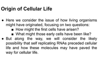 Origin of Cellular Life
● Here we consider the issue of how living organisms
might have originated, focusing on two questions:
■ How might the first cells have arisen?
■ What might those early cells have been like?
● But along the way, we will consider the likely
possibility that self replicating RNAs preceded cellular
life and how these molecules may have paved the
way for cellular life.
 