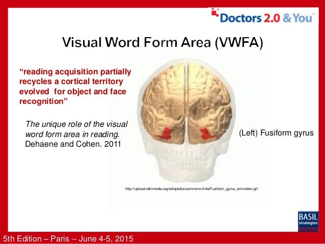 visual word form area titan northeastfitness co