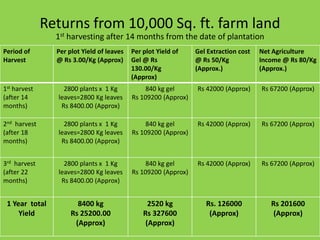 Green Venture. ppt