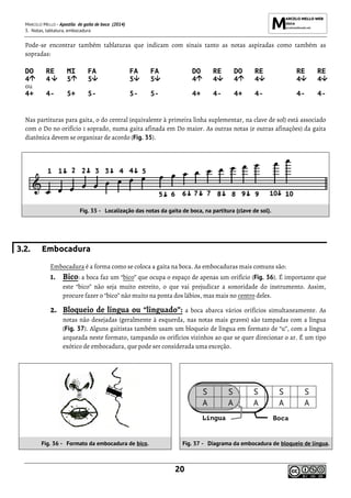 MARCELO MELLO - Apostila de gaita de boca (2014)
3. Notas, tablatura, embocadura
20
Pode-se encontrar também tablaturas que indicam com sinais tanto as notas aspiradas como também as
sopradas:
DO RE MI FA FA FA DO RE DO RE RE RE
4 4 5 5 5 5 4 4 4 4 4 4
ou
4+ 4- 5+ 5- 5- 5- 4+ 4- 4+ 4- 4- 4-
Nas partituras para gaita, o do central (equivalente à primeira linha suplementar, na clave de sol) está associado
com o Do no orifício 1 soprado, numa gaita afinada em Do maior. As outras notas (e outras afinações) da gaita
diatônica devem se organizar de acordo (Fig. 35).
3.2. Embocadura
Embocadura é a forma como se coloca a gaita na boca. As embocaduras mais comuns são:
1. Bico: a boca faz um “bico” que ocupa o espaço de apenas um orifício (Fig. 36). É importante que
este “bico” não seja muito estreito, o que vai prejudicar a sonoridade do instrumento. Assim,
procure fazer o “bico” não muito na ponta dos lábios, mas mais no centro deles.
2. Bloqueio de língua ou “linguado”: a boca abarca vários orifícios simultaneamente. As
notas não desejadas (geralmente à esquerda, nas notas mais graves) são tampadas com a língua
(Fig. 37). Alguns gaitistas também usam um bloqueio de língua em formato de “u”, com a língua
arqueada neste formato, tampando os orifícios vizinhos ao que se quer direcionar o ar. É um tipo
exótico de embocadura, que pode ser considerada uma exceção.
S S S S S
A A A A A
Fig. 36 - Formato da embocadura de bico. Fig. 37 - Diagrama da embocadura de bloqueio de língua.
Fig. 35 - Localização das notas da gaita de boca, na partitura (clave de sol).
Língua Boca
 