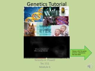 Genetics Tutorial Always click the green arrow to  advance to the next slide Teresita A. Powell Tec 551 Module 6 