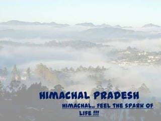Himachal Pradesh
   Himachal.. Feel the spark of
        Life !!!
 