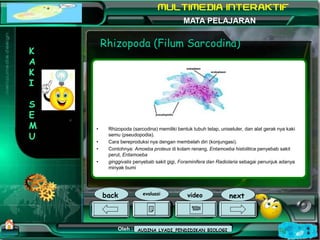 Kurikulum Evaluasi Profil Referensi
Oleh : Mampuono (Ganti dengan nama Anda)
NAMA SEKOLAH
Alamat MATA PELAJARAN
Rhizopoda ...