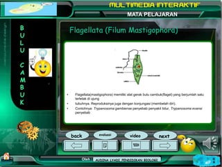 Kurikulum Evaluasi Profil Referensi
Oleh : Mampuono (Ganti dengan nama Anda)
NAMA SEKOLAH
Alamat MATA PELAJARAN
Flagellata...