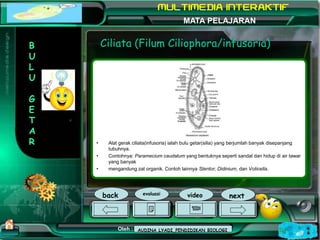 Kurikulum Evaluasi Profil Referensi
Oleh : Mampuono (Ganti dengan nama Anda)
NAMA SEKOLAH
Alamat MATA PELAJARAN
Ciliata (F...