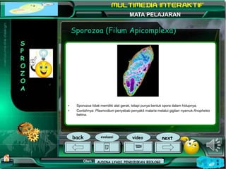 Kurikulum Evaluasi Profil Referensi
Oleh : Mampuono (Ganti dengan nama Anda)
NAMA SEKOLAH
Alamat MATA PELAJARAN
Sporozoa (...