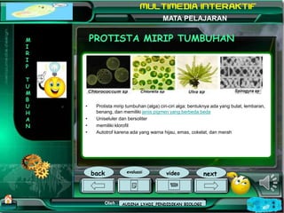 Kurikulum Evaluasi Profil Referensi
Oleh : Mampuono (Ganti dengan nama Anda)
NAMA SEKOLAH
Alamat MATA PELAJARAN
PROTISTA M...