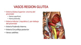 VASOS REGION GLUTEA
• Arteria Glútea Superior: encima del
piramidal
• Rama superficial,
• Rama profunda,
• Arteria Inferior ( Isquiática ): por debajo
del piramidal
• Arteria Pudenda Interna.
• Arteria Circunfleja posterior
• Venas satélites
 