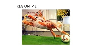 REGION PIE
 