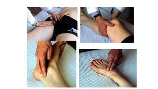 MMII  region glutea.pptx