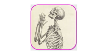 MMII  region glutea.pptx