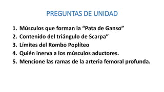 PREGUNTAS DE UNIDAD
1. Músculos que forman la “Pata de Ganso”
2. Contenido del triángulo de Scarpa”
3. Límites del Rombo Poplíteo
4. Quién inerva a los músculos aductores.
5. Mencione las ramas de la arteria femoral profunda.
 