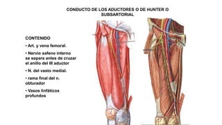 CONDUCTO DE LOS ADUCTORES O DE HUNTER O
SUBSARTORIAL
CONTENIDO
• Art. y vena femoral.
• Nervio safeno interno
se separa antes de cruzar
el anillo del III aductor
• N. del vasto medial.
• rama final del n.
obturador
• Vasos linfáticos
profundos
 
