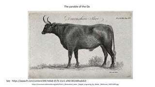 https://commons.wikimedia.org/wiki/File:A_Devonshire_steer._Stipple_engraving_by_Neele._Wellcome_V0021699.jpg
See - https://www.ft.com/content/bfb7e6b8-d57b-11e1-af40-00144feabdc0
The parable of the Ox
 