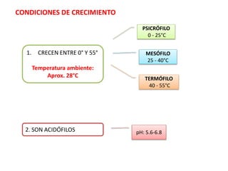 CONDICIONES DE CRECIMIENTO
1. CRECEN ENTRE 0° Y 55°
Temperatura ambiente:
Aprox. 28°C
2. SON ACIDÓFILOS
PSICRÓFILO
0 - 25°C
MESÓFILO
25 - 40°C
TERMÓFILO
40 - 55°C
pH: 5.6-6.8
 