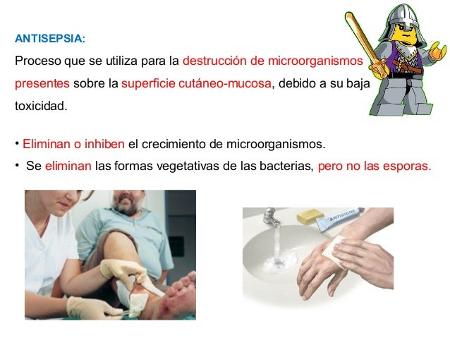 El mejor preparado de los parásitos en el organismo de la persona