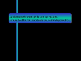 Le photographe était sûr de voir ses huskies,  se faire bouffer par l'ours blanc qui venait d'apparaître… 