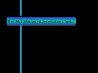 Il semble évident que cet ours n'était pas affamé… 