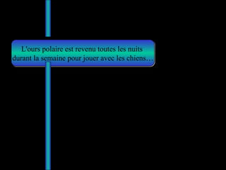 L'ours polaire est revenu toutes les nuits  durant la semaine pour jouer avec les chiens… 