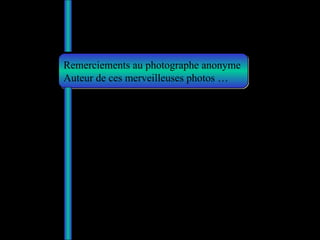 Remerciements au photographe anonyme Auteur de ces merveilleuses photos … Novicius 