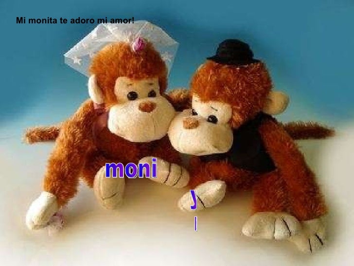 moni monito