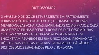 DICTIOSSOMOS
O APARELHO DE GOLGI ESTÁ PRESENTE EM PRATICAMENTE
TODAS AS CÉLULAS EUCARIONTES, E CONSISTE DE BOLSAS
MEMBRANOSAS ACHATADAS, EMPILHADAS COMO PRATOS. CADA
UMA DESSAS PILHAS RECEBE O NOME DE DICTIOSSOMO. NAS
CÉLULAS ANIMAIS, OS DICTIOSSOMOS GERALMENTE SE
ENCONTRAM REUNIDOS EM UM ÚNICO LOCAL, PRÓXIMO AO
NÚCLEO. NAS CÉLULAS VEGETAIS, GERALMENTE HÁ VÁRIOS
DICTIOSSOMOS ESPALHADOS PELO CITOPLASMA
 