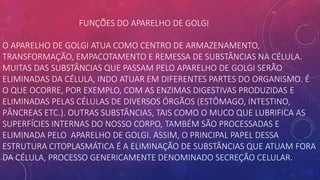 FUNÇÕES DO APARELHO DE GOLGI
O APARELHO DE GOLGI ATUA COMO CENTRO DE ARMAZENAMENTO,
TRANSFORMAÇÃO, EMPACOTAMENTO E REMESSA DE SUBSTÂNCIAS NA CÉLULA.
MUITAS DAS SUBSTÂNCIAS QUE PASSAM PELO APARELHO DE GOLGI SERÃO
ELIMINADAS DA CÉLULA, INDO ATUAR EM DIFERENTES PARTES DO ORGANISMO. É
O QUE OCORRE, POR EXEMPLO, COM AS ENZIMAS DIGESTIVAS PRODUZIDAS E
ELIMINADAS PELAS CÉLULAS DE DIVERSOS ÓRGÃOS (ESTÔMAGO, INTESTINO,
PÂNCREAS ETC.). OUTRAS SUBSTÂNCIAS, TAIS COMO O MUCO QUE LUBRIFICA AS
SUPERFÍCIES INTERNAS DO NOSSO CORPO, TAMBÉM SÃO PROCESSADAS E
ELIMINADA PELO APARELHO DE GOLGI. ASSIM, O PRINCIPAL PAPEL DESSA
ESTRUTURA CITOPLASMÁTICA É A ELIMINAÇÃO DE SUBSTÂNCIAS QUE ATUAM FORA
DA CÉLULA, PROCESSO GENERICAMENTE DENOMINADO SECREÇÃO CELULAR.
 