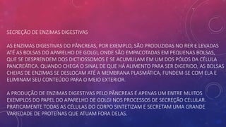 SECREÇÃO DE ENZIMAS DIGESTIVAS
AS ENZIMAS DIGESTIVAS DO PÂNCREAS, POR EXEMPLO, SÃO PRODUZIDAS NO RER E LEVADAS
ATÉ AS BOLSAS DO APARELHO DE GOLGI, ONDE SÃO EMPACOTADAS EM PEQUENAS BOLSAS,
QUE SE DESPRENDEM DOS DICTIOSSOMOS E SE ACUMULAM EM UM DOS PÓLOS DA CÉLULA
PANCREÁTICA. QUANDO CHEGA O SINAL DE QUE HÁ ALIMENTO PARA SER DIGERIDO, AS BOLSAS
CHEIAS DE ENZIMAS SE DESLOCAM ATÉ A MEMBRANA PLASMÁTICA, FUNDEM-SE COM ELA E
ELIMINAM SEU CONTEÚDO PARA O MEIO EXTERIOR.
A PRODUÇÃO DE ENZIMAS DIGESTIVAS PELO PÂNCREAS É APENAS UM ENTRE MUITOS
EXEMPLOS DO PAPEL DO APARELHO DE GOLGI NOS PROCESSOS DE SECREÇÃO CELULAR.
PRATICAMENTE TODAS AS CÉLULAS DO CORPO SINTETIZAM E SECRETAM UMA GRANDE
VARIEDADE DE PROTEÍNAS QUE ATUAM FORA DELAS.
 