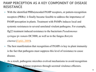  With the identified PRRs(encoded PAMP receptors, or pattern-recognition
receptors (PRRs) it finally became feasible to address the importance of
PAMP perception in plants. Treatment with PAMPs induces local and
systemic resistances to several unrelated virulent pathogens. For example,
flg22 treatment induced resistance to the bacterium Pseudomonas
syringae pv tomato DC3000, as well as to the fungus Botrytis
cinerea (Zipfel, 2009).
 The best manifestation that recognition of PAMPs is key to plant immunity
is the fact that pathogens must suppress this level of resistance to cause
disease.
 As a result, pathogenic microbes evolved mechanisms to avoid recognition
or to suppress defense responses through secreted virulence effectors.
18
 
