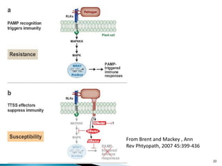 From Brent and Mackey , Ann
Rev Phtyopath, 2007 45:399-436
22
 