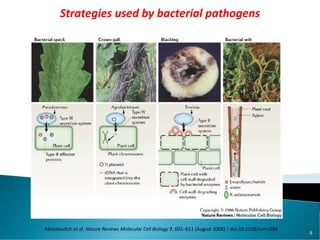 Abramovitch et al. Nature Reviews Molecular Cell Biology 7, 601–611 (August 2006) | doi:10.1038/nrm1984
Strategies used by bacterial pathogens
8
 