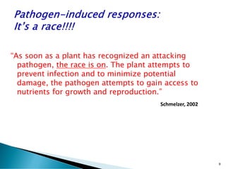 “As soon as a plant has recognized an attacking
pathogen, the race is on. The plant attempts to
prevent infection and to minimize potential
damage, the pathogen attempts to gain access to
nutrients for growth and reproduction.”
9
Schmelzer, 2002
 