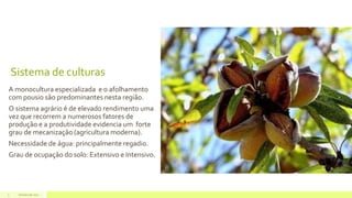 Sistema de culturas
A monocultura especializada e o afolhamento
com pousio são predominantes nesta região.
O sistema agrário é de elevado rendimento uma
vez que recorrem a numerosos fatores de
produção e a produtividade evidencia um forte
grau de mecanização (agricultura moderna).
Necessidade de água: principalmente regadio.
Grau de ocupação do solo: Extensivo e Intensivo.
Outubro de 20175
 