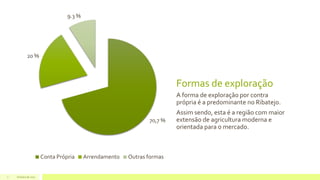 Formas de exploração
A forma de exploração por contra
própria é a predominante no Ribatejo.
Assim sendo, esta é a região com maior
extensão de agricultura moderna e
orientada para o mercado.
Outubro de 20177
70,7 %
20 %
9.3 %
Conta Própria Arrendamento Outras formas
 