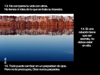 13. No compares tu vida con otros.  No tienes ni idea de lo que se trata su travesía.     15. Todo puede cambiar en un parpadear de ojos.  Pero no te preocupes, Dios nunca parpadea. 14. Si una relación tiene que ser secreta, no debes estar  en ella.  