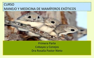 ì	
  
	
  
CURSO	
  	
  	
  
MANEJO	
  Y	
  MEDICINA	
  DE	
  MAMÍFEROS	
  EXÓTICOS	
  
Primera	
  Parte	
  
Cobayas	
  y	
  Conejos	
  
Dra	
  Rosalía	
  Pastor	
  Nieto	
  
 