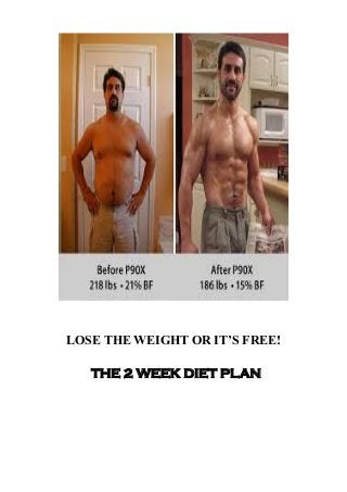 LOSE THE WEIGHT OR IT’S FREE!
THE 2 WEEK DIET PLAN
 