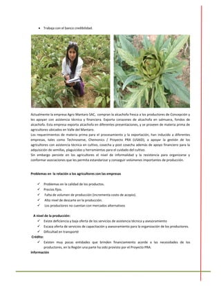 • Trabaja con el banco credibilidad.
Actualmente la empresa Agro Mantaro SAC, compran la alcachofa fresca a los productores de Concepción y
les apoyan con asistencia técnica y financiera. Exporta corazones de alcachofa en salmuera, fondos de
alcachofa. Esta empresa exporta alcachofa en diferentes presentaciones, y se proveen de materia prima de
agricultores ubicados en Valle del Mantaro.
Los requerimientos de materia prima para el procesamiento y la exportación, han inducido a diferentes
empresas, tales como Technoserve, Chemonics / Proyecto PRA (USAID), a apoyar la gestión de los
agricultores con asistencia técnica en cultivo, cosecha y post cosecha además de apoyo financiero para la
adquisición de semillas, plaguicidas y herramientas para el cuidado del cultivo.
Sin embargo persiste en los agricultores el nivel de informalidad y la resistencia para organizarse y
conformar asociaciones que les permita estandarizar y conseguir volúmenes importantes de producción.
Problemas en la relación a los agricultores con las empresas
 Problemas en la calidad de los productos.
 Precios fijos.
 Falta de volumen de producción (incrementa costo de acopio).
 Alto nivel de descarte en la producción.
 Los productores no cuentan con mercados alternativos
A nivel de la producción:
 Existe deficiencia y baja oferta de los servicios de asistencia técnica y asesoramiento
 Escaza oferta de servicios de capacitación y asesoramiento para la organización de los productores.
 Dificultad en transporté
Crédito:
 Existen muy pocas entidades que brinden financiamiento acorde a las necesidades de los
productores, en la Región una parte ha sido provisto por el Proyecto PRA.
Información
 