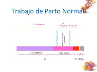 #
Trabajo de Parto Normal.
Fase latente Fase activa
1a 2a 3a4a
.
Fasedeaceleración
Fasedemáxima
pendiente
Fasedeaceleración
D. Preparatoria D.
Dilatativa D. Pelviana
 