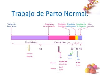 #
Trabajo de Parto Normal.
Fase latente Fase activa
1a 2a 3a 4a
Dilatación
Completa
Expulsión
del Producto
Expulsión de
la Placenta
Útero
Contraído
Trabajo de
Parto Activo
Aceleración
de la Dilatación
Dilatación
1.2 cm/h (6 h)
1.5 cm/h (4 h)
Descenso
1 cm/h
2 cm/h
Hasta 20 h
Hasta 14 h
50 min
20 min
45 min
30 min
 