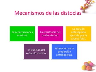 #
Mecanismos de las distocias
 