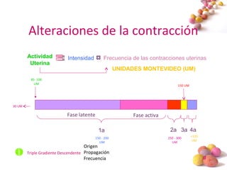 #
Alteraciones de la contracción
Actividad
Uterina
Intensidad Frecuencia de las contracciones uterinas
UNIDADES MONTEVIDEO (UM)
Fase latente Fase activa
1a 2a 3a 4a
30 UM
85- 100
UM
150 - 200
UM
250 - 300
UM
150 UM
<120
UM
Triple Gradiente Descendente
Origen
Propagación
Frecuencia
 