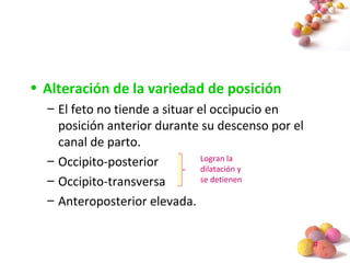 #
• Alteración de la variedad de posición
– El feto no tiende a situar el occipucio en
posición anterior durante su descenso por el
canal de parto.
– Occipito-posterior
– Occipito-transversa
– Anteroposterior elevada.
Logran la
dilatación y
se detienen
 