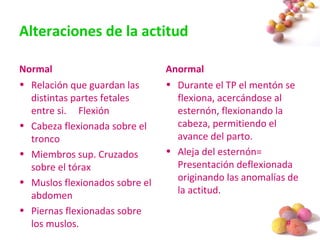 #
Alteraciones de la actitud
Normal
• Relación que guardan las
distintas partes fetales
entre si. Flexión
• Cabeza flexionada sobre el
tronco
• Miembros sup. Cruzados
sobre el tórax
• Muslos flexionados sobre el
abdomen
• Piernas flexionadas sobre
los muslos.
Anormal
• Durante el TP el mentón se
flexiona, acercándose al
esternón, flexionando la
cabeza, permitiendo el
avance del parto.
• Aleja del esternón=
Presentación deflexionada
originando las anomalías de
la actitud.
 
