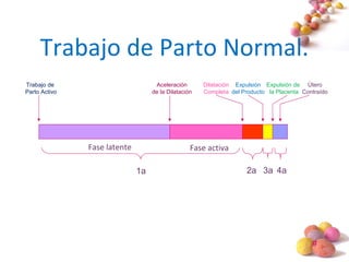 #
Trabajo de Parto Normal.
Fase latente Fase activa
1a 2a 3a 4a
Dilatación
Completa
Expulsión
del Producto
Expulsión de
la Placenta
Útero
Contraído
Trabajo de
Parto Activo
Aceleración
de la Dilatación
.
 