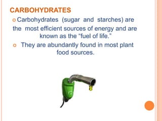 CARBOHYDRATES
 Carbohydrates   (sugar and starches) are
the most efficient sources of energy and are
         known as the “fuel of life.”
 They are abundantly found in most plant
                food sources.
 