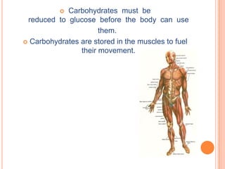  Carbohydrates must be
 reduced to glucose before the body can use
                      them.
 Carbohydrates are stored in the muscles to fuel
                their movement.
 