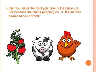    Can you name the food you have in the place you
    live because the plants people grow or the animals
    people raise or breed?
 